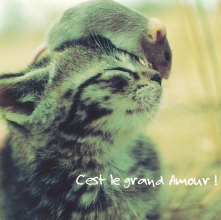 Mais oui ils s'aiment !!